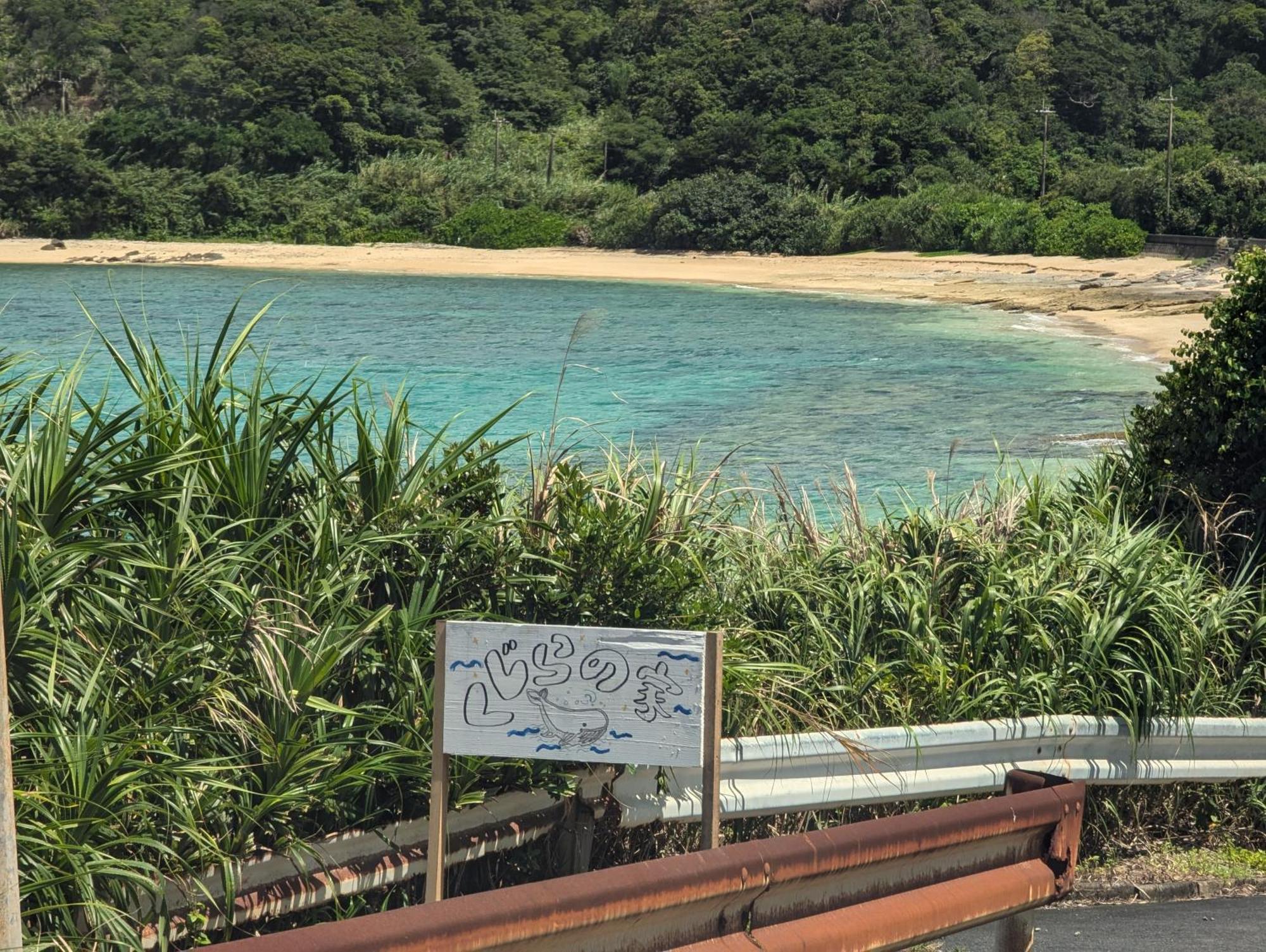 くじらの家 Vila Amami Exterior foto